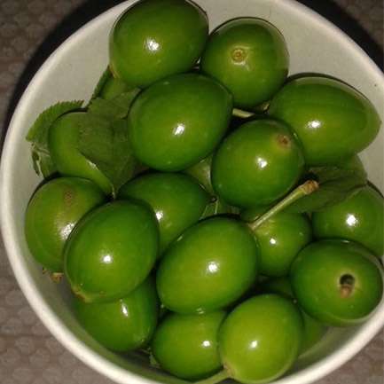 papaz erik