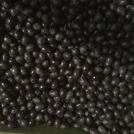zeytin